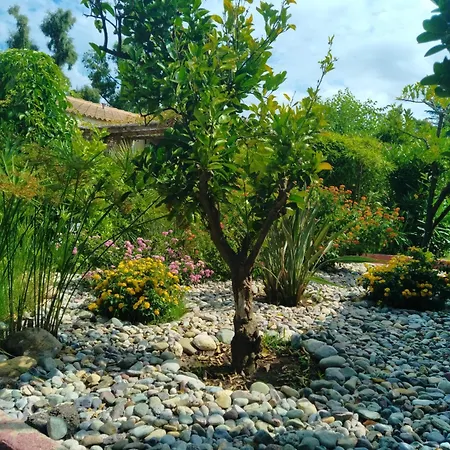 Le Rateau Bavoir Апартаменты Кальви