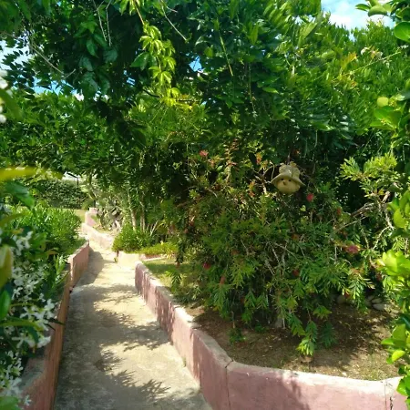 Le Rateau Bavoir Apartment Calvi (Corsica)
