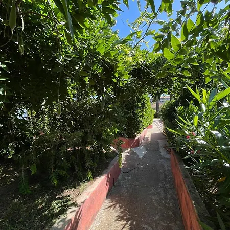 Le Rateau Bavoir Calvi (Corsica)