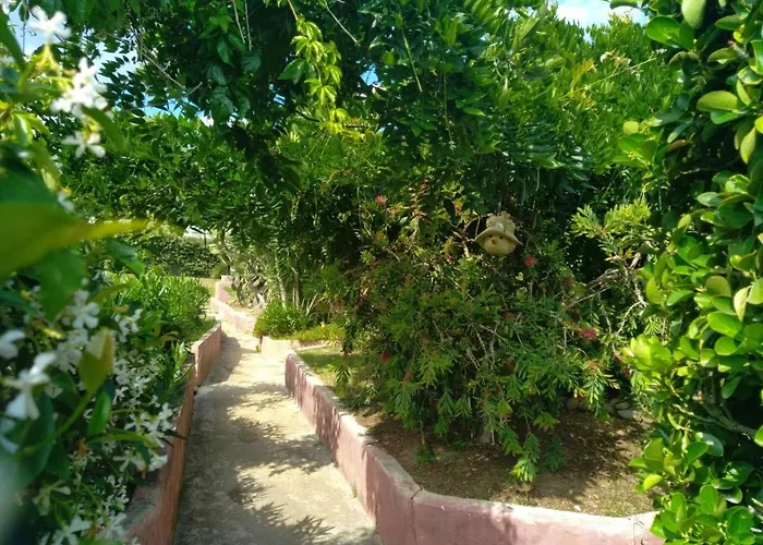 Le Rateau Bavoir Apartamento Calvi (Corsica)