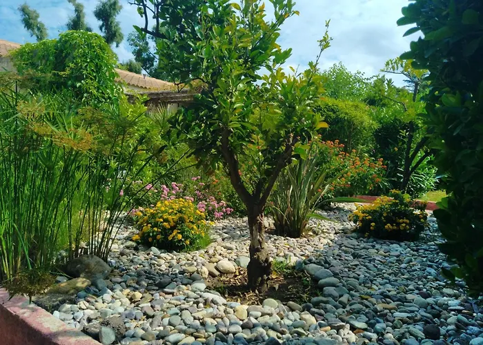 Le Rateau Bavoir Apartamento Calvi (Corsica)